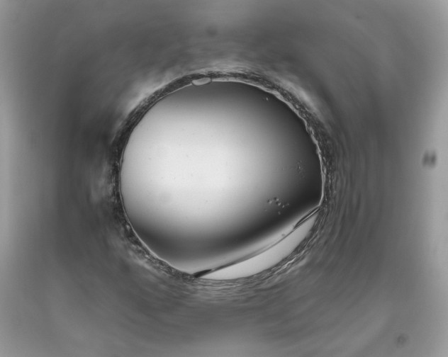 X0000093531160200710261245