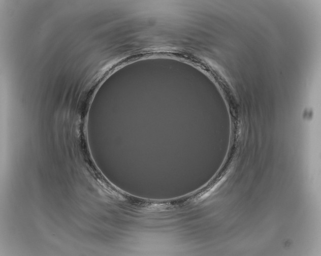 X0000093531161200710261245