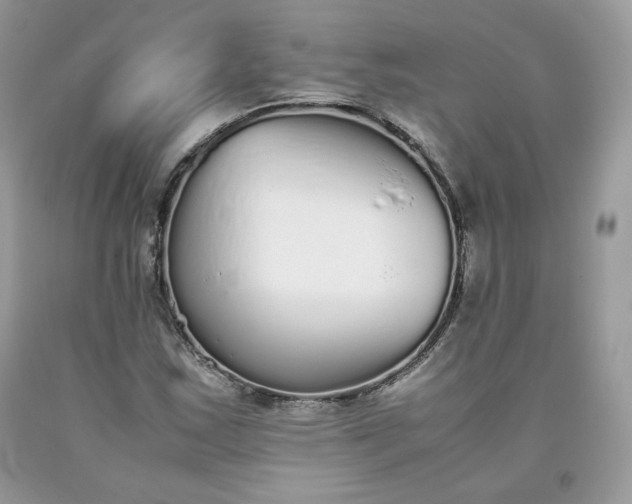 X0000093531163200710261245