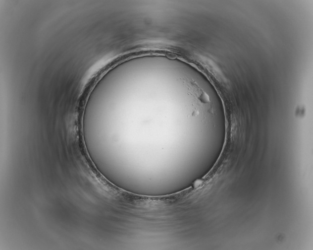 X0000093531164200710261245