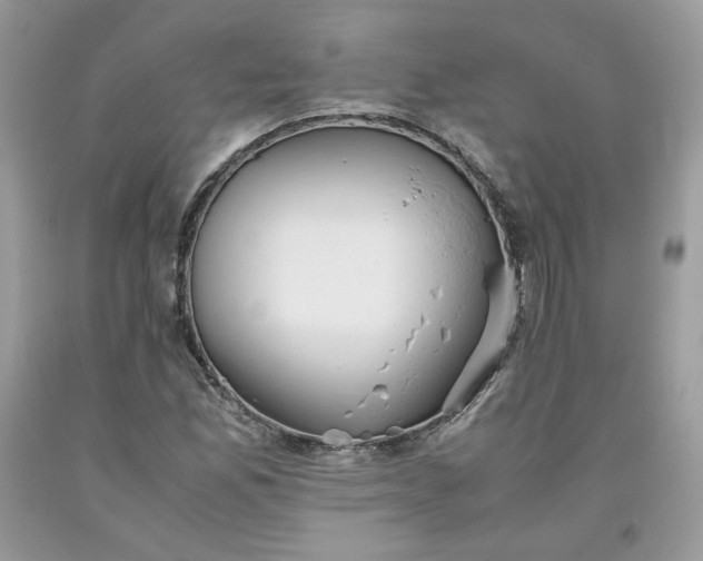 X0000093531165200710261245