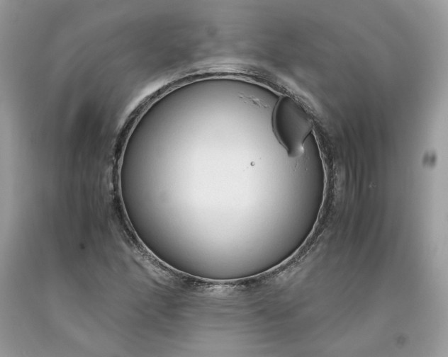 X0000093531166200710261245