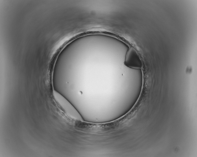 X0000093531167200710261245