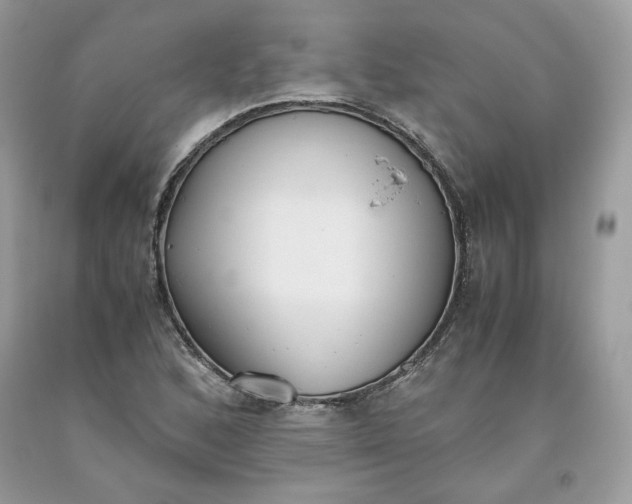 X0000093531168200710261245