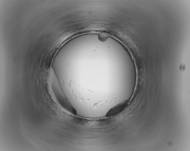 X0000093531169200710261245