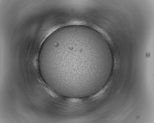 X0000093531170200710261245