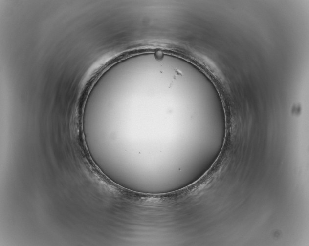 X0000093531172200710261245