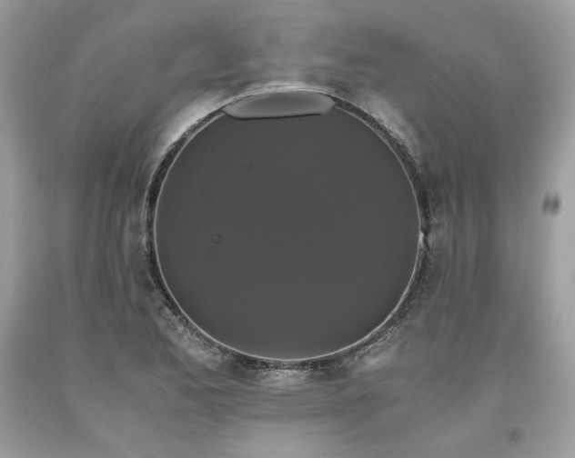 X0000093531173200710261245