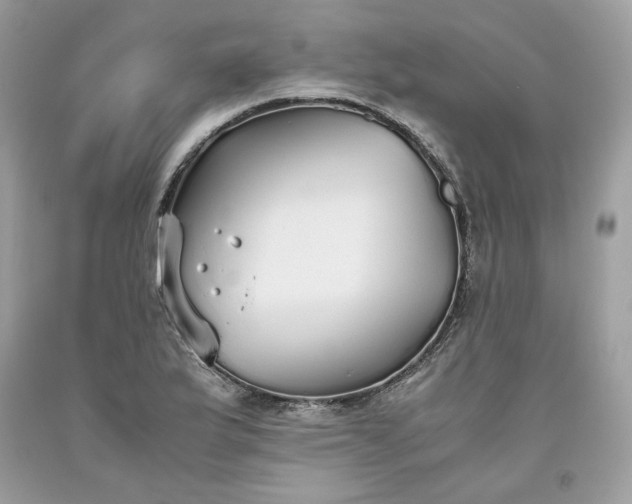 X0000093531175200710261245