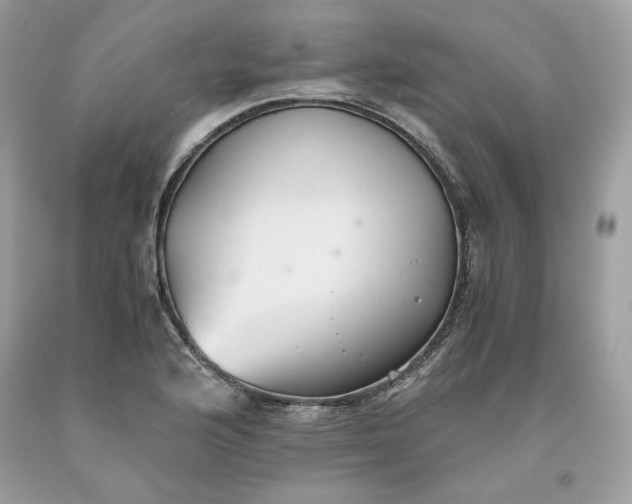 X0000093531176200710261245