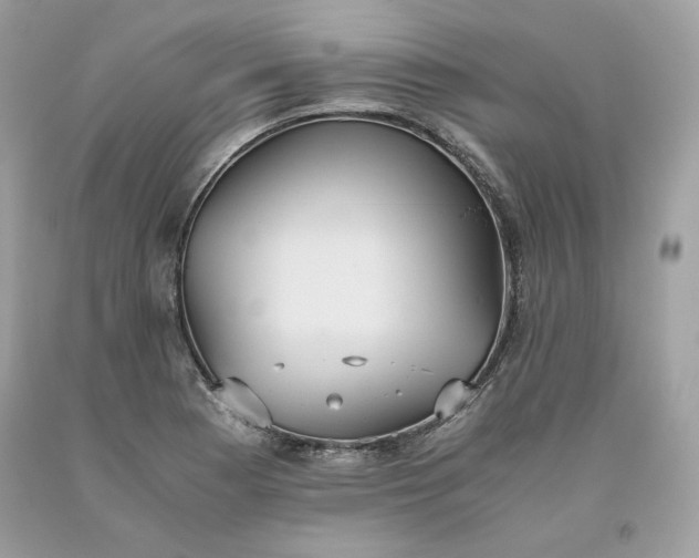 X0000093531177200710261245