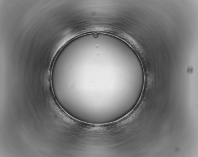 X0000093531178200710261244