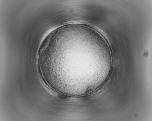 X0000093531179200710261244