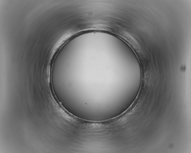 X0000093531180200710261244