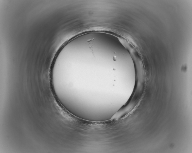 X0000093531181200710261244