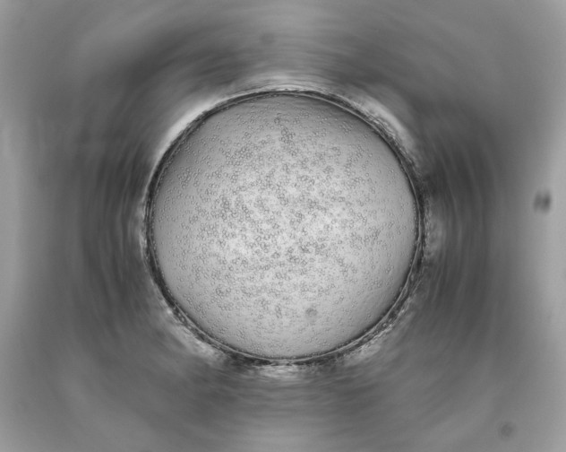 X0000093531182200710261244