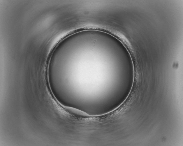 X0000093531183200710261244