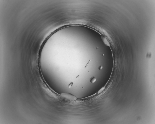 X0000093531184200710261244