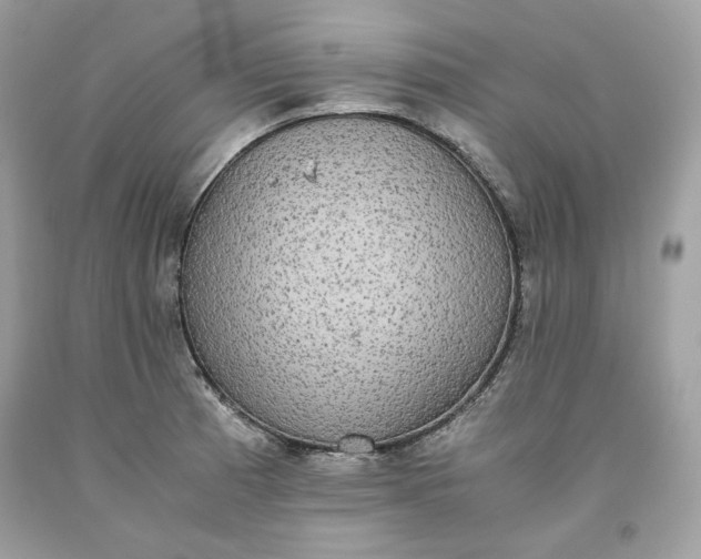 X0000093531185200710261244