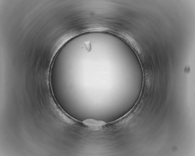 X0000093531186200710261244