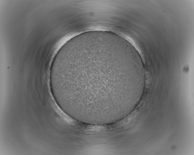 X0000093531187200710261244