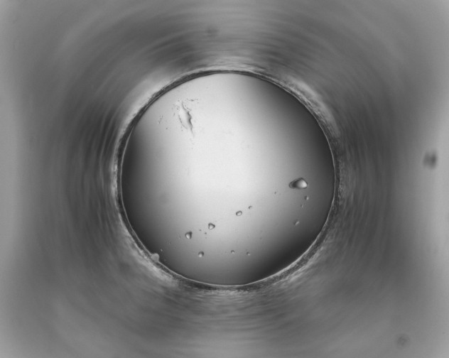 X0000093531188200710261244