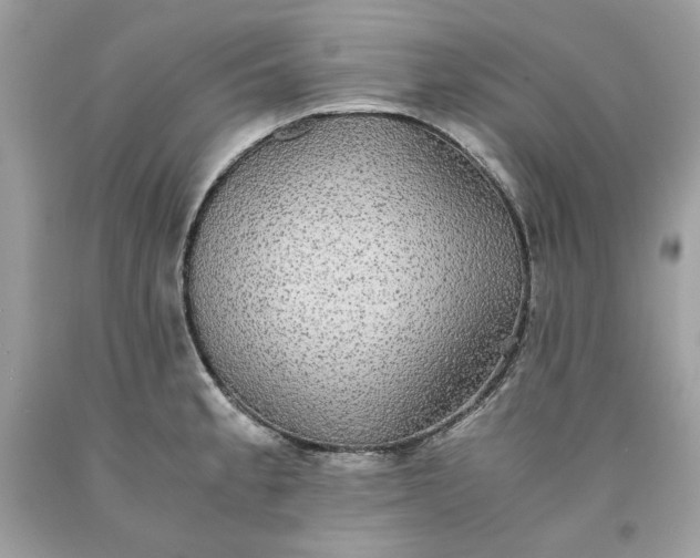 X0000093531189200710261244