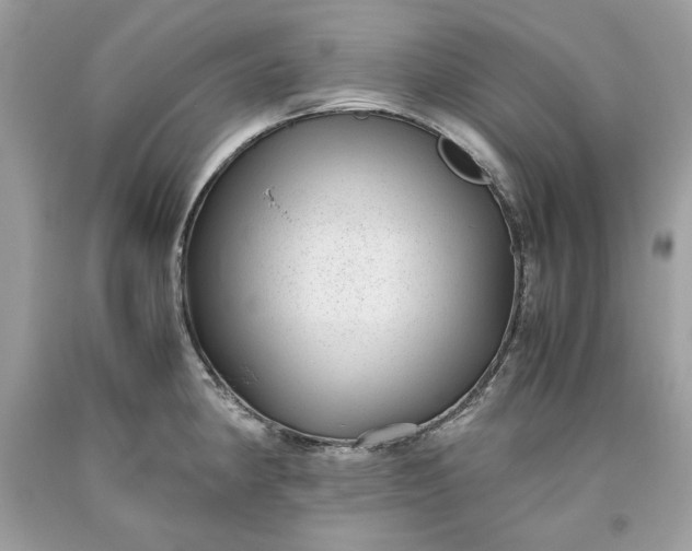 X0000093531190200710261244