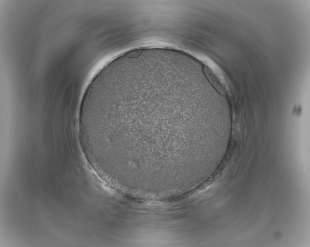 X0000093531191200710261244