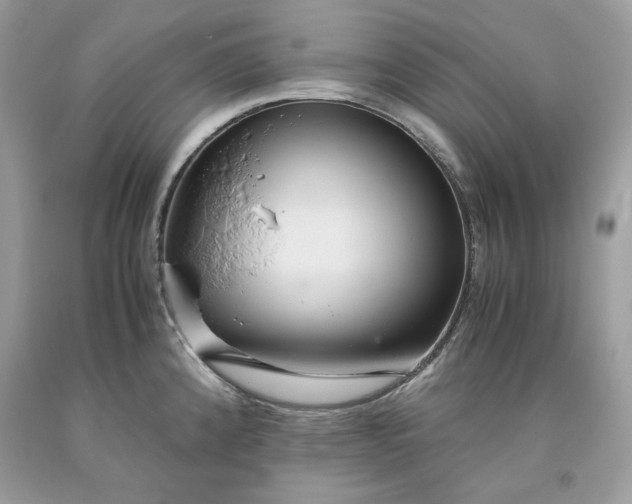 X0000093531192200710261244