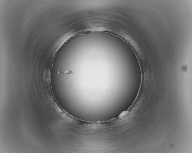 X0000093531193200710261244