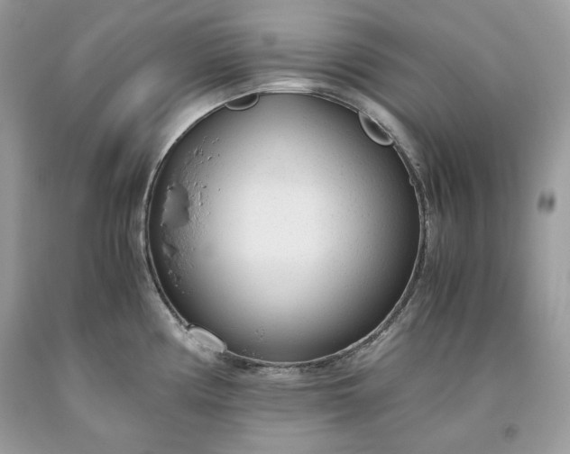 X0000093531194200710261244