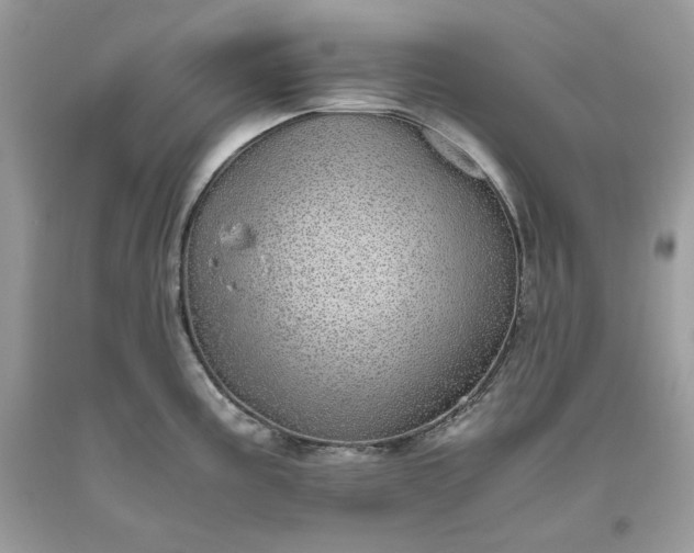 X0000093531195200710261244