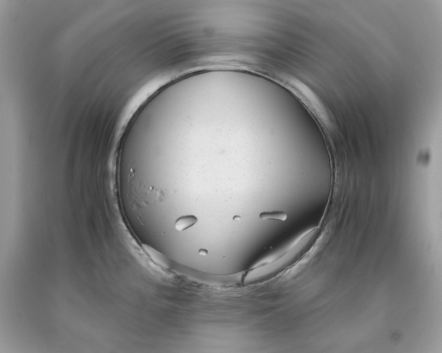 X0000093531196200710261244