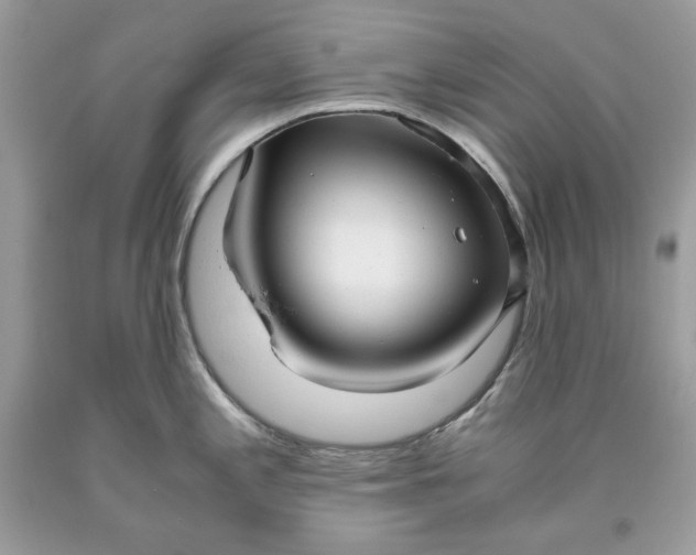 X0000093531197200710261244