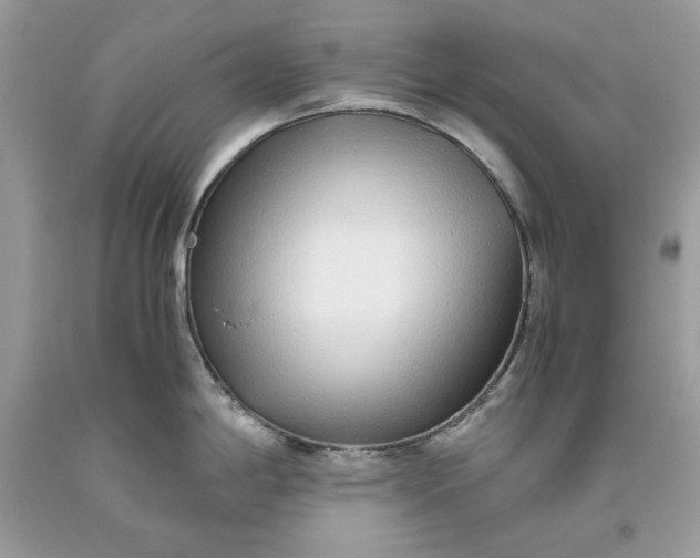 X0000093531198200710261244