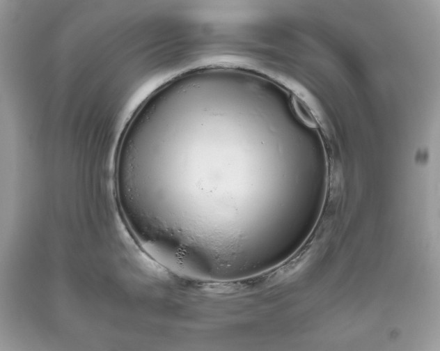 X0000093531199200710261244