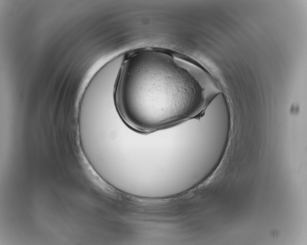 X0000093531200200710261244