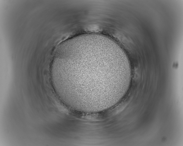 X0000093531201200710261244