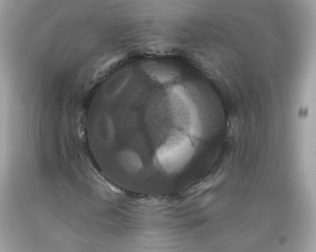 X0000093531202200710261244