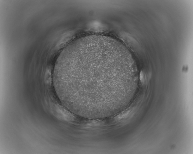 X0000093531203200710261244