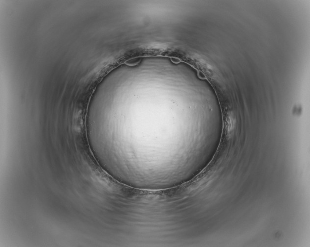 X0000093531204200710261244