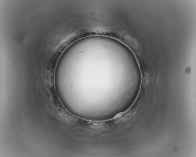 X0000093531205200710261244