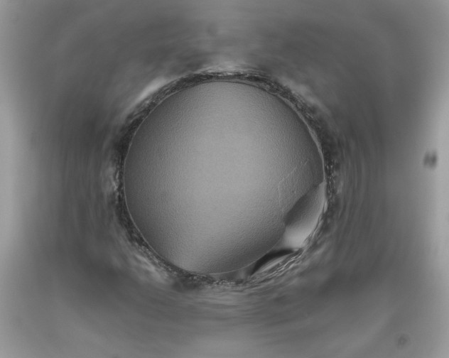 X0000093531206200710261244