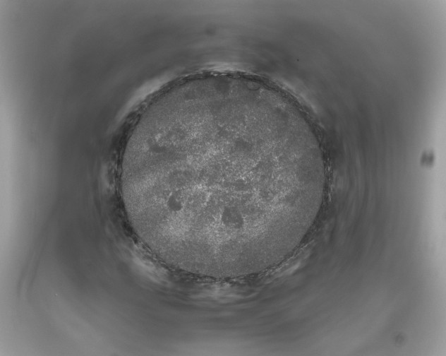 X0000093531207200710261244