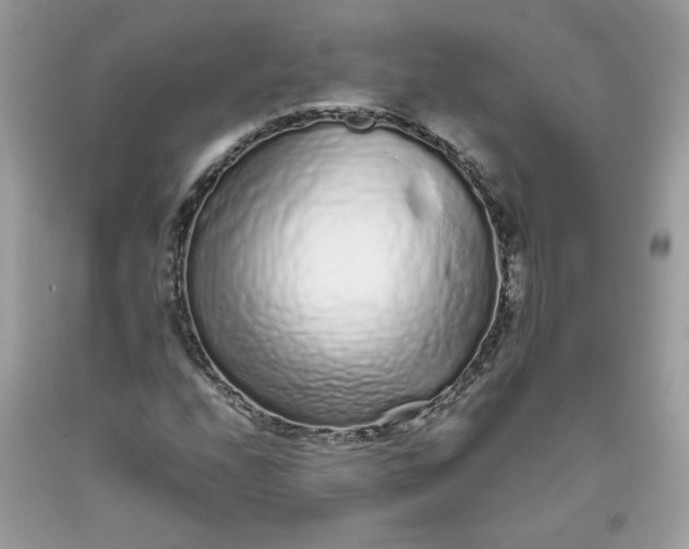 X0000093531208200710261244