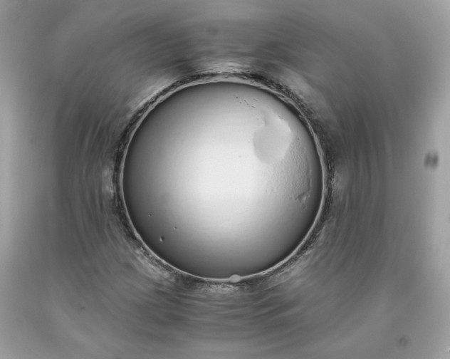 X0000093531209200710261244