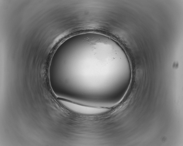 X0000093531210200710261244