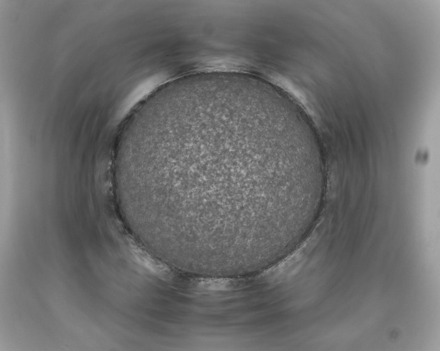 X0000093531211200710261244