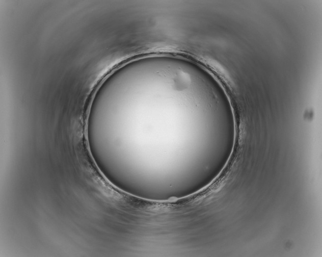 X0000093531212200710261244